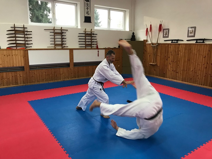 aikido.JPG (133 KB)